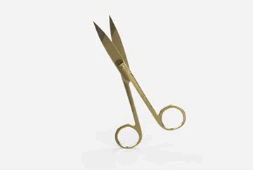 Lash Scissor